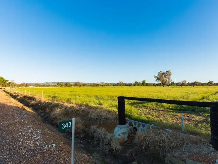 Second view of Homely rural property listing, 343 Herbert Road, Harvey WA 6220