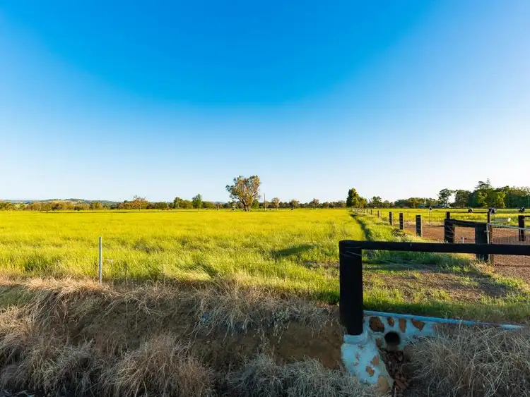 Third view of Homely rural property listing, 343 Herbert Road, Harvey WA 6220