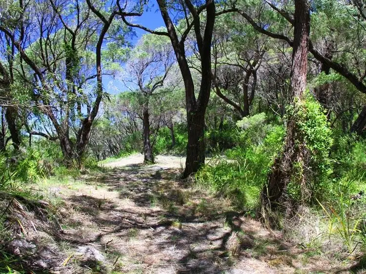Sixth view of Homely land listing, 595 Nullaki Drive, Nullaki WA 6330