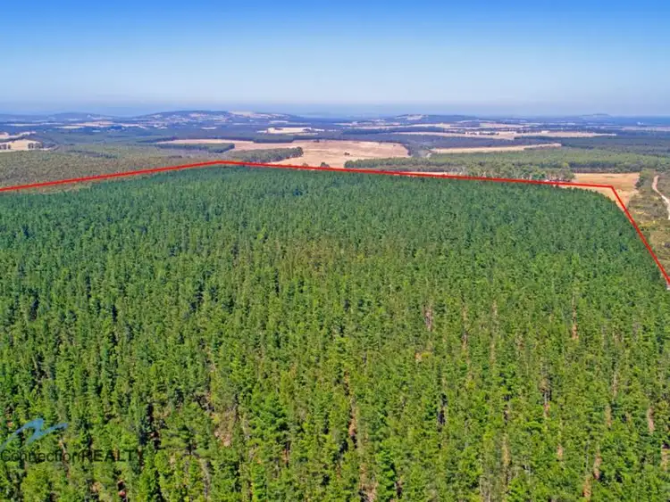 Second view of Homely rural property listing, Lot 2, Dempster Road, Kalgan WA 6330