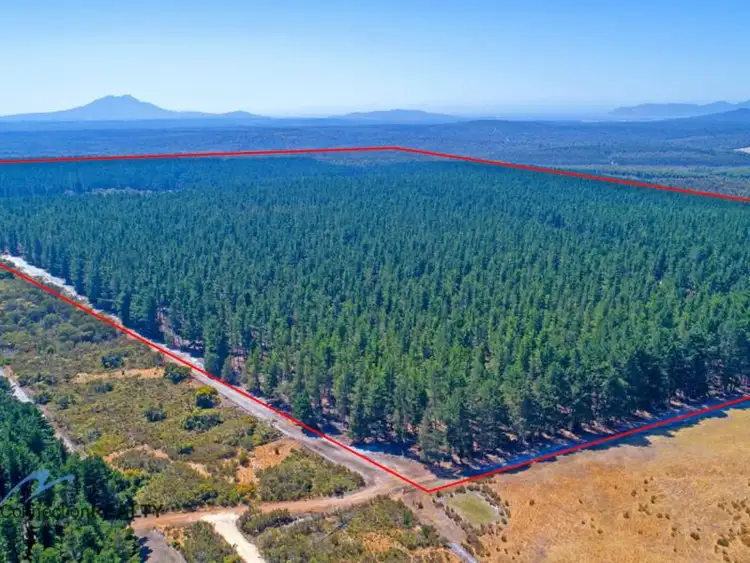 Third view of Homely rural property listing, Lot 2, Dempster Road, Kalgan WA 6330