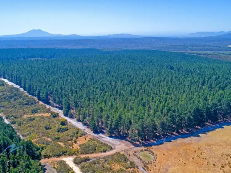 Fifth view of Homely rural property listing, Lot 2, Dempster Road, Kalgan WA 6330
