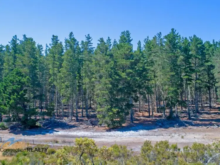Sixth view of Homely rural property listing, Lot 2, Dempster Road, Kalgan WA 6330
