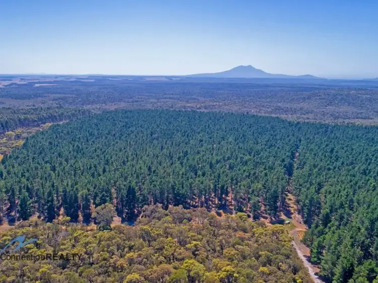 Seventh view of Homely rural property listing, Lot 2, Dempster Road, Kalgan WA 6330
