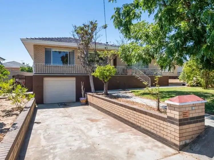 Main view of Homely house listing, 18 Wooramel Way, Nollamara WA 6061