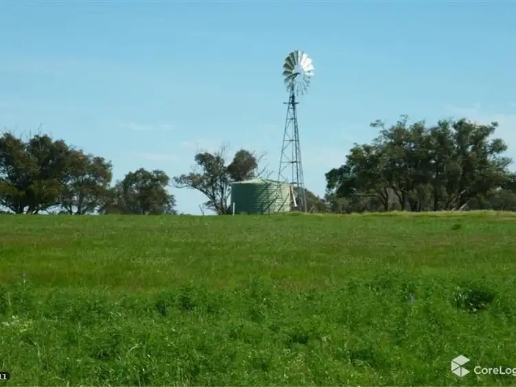 Main view of Homely rural property listing, 12 Wire Road, Muckenburra WA 6503