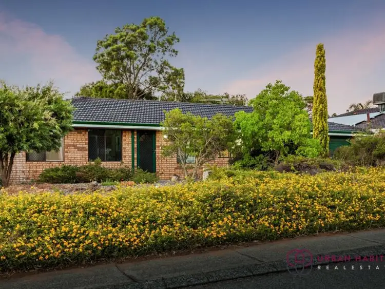 Fifth view of Homely house listing, 35 Tunnicliffe Street, Parmelia WA 6167