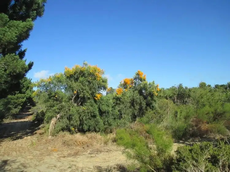 Lot 143, Ocean Farm Drive, Nilgen WA 6044