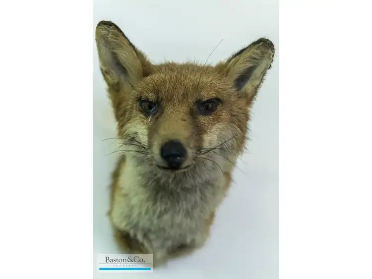 Second view of Homely house listing, 101 Mackie Street, Victoria Park WA 6100