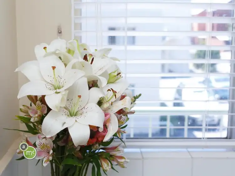 Fifth view of Homely unit listing, 23/381 Barker Road, Subiaco WA 6008