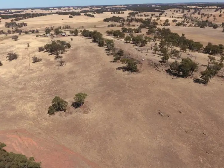 Sixth view of Homely rural property listing, 4708 Boyup Brook - Arthur Rd Propos, Arthur River WA 6315