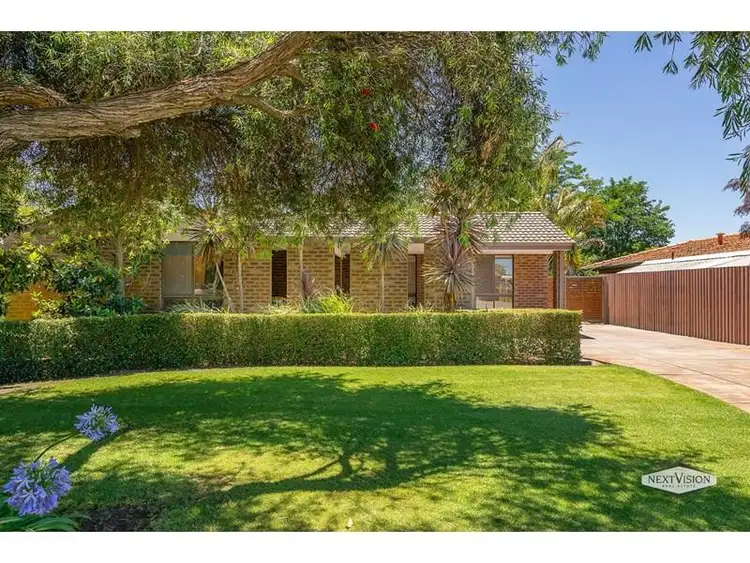 10 Colonial Drive, Bibra Lake WA 6163