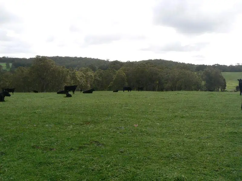 Main view of Homely rural property listing, 374 Forrest Road, Thomson Brook WA 6239