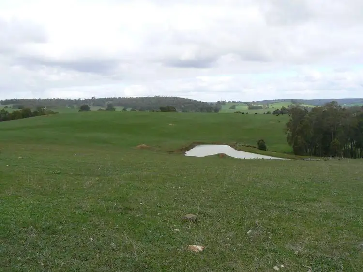 Sixth view of Homely rural property listing, 374 Forrest Road, Thomson Brook WA 6239