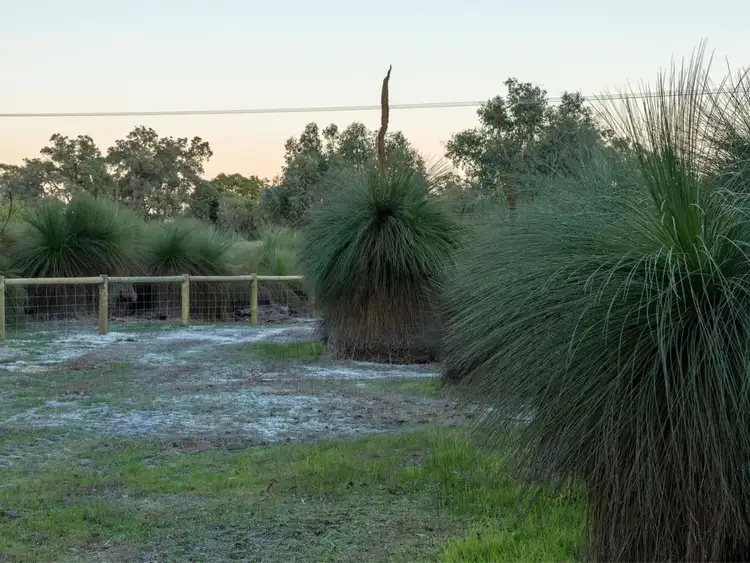 Main view of Homely land listing, Lot 33, Walker Road, Serpentine WA 6125