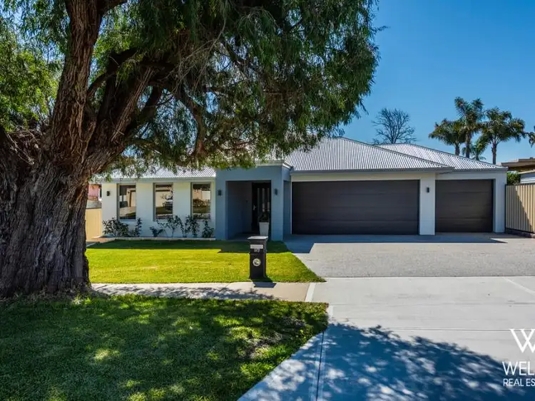 317 Daly Street, Belmont WA 6104
