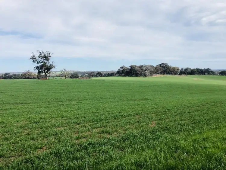 Main view of Homely rural property listing, Lots 3697 and 3998 Wongerup Rd, Kojonup WA 6395