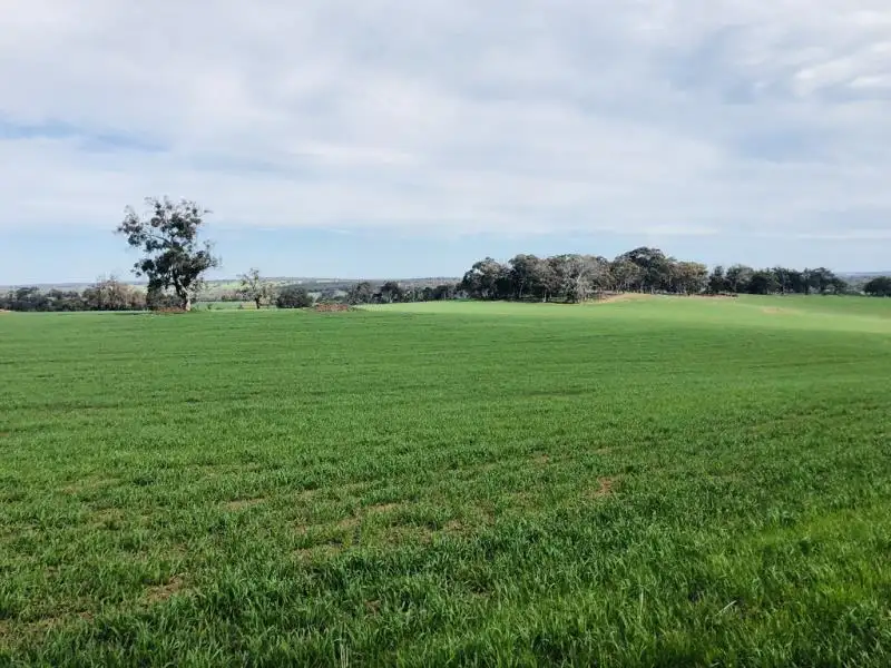 Main view of Homely rural property listing, Lots 3697 and 3998 Wongerup Rd, Kojonup WA 6395