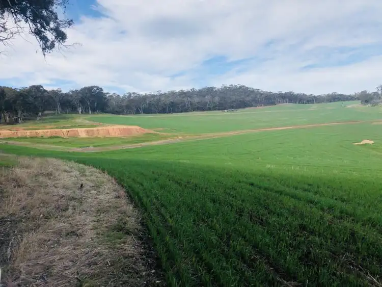 Fourth view of Homely rural property listing, Lots 3697 and 3998 Wongerup Rd, Kojonup WA 6395