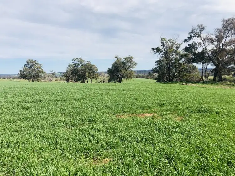 Fifth view of Homely rural property listing, Lots 3697 and 3998 Wongerup Rd, Kojonup WA 6395