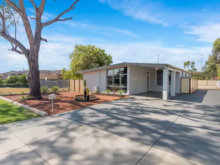 Second view of Homely house listing, 14 Ludlands Street, Morley WA 6062