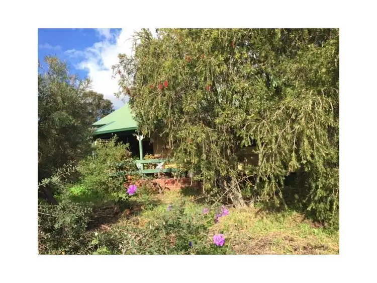 Third view of Homely house listing, 20 Ashburton Street, Bentley WA 6102