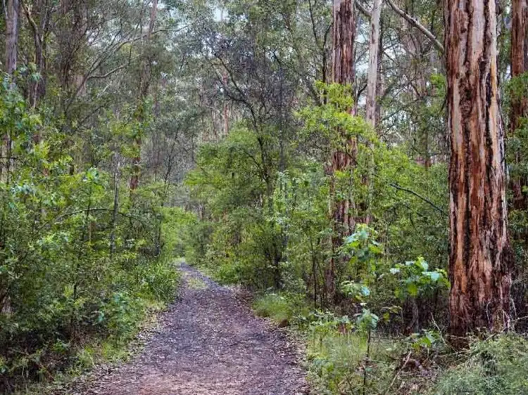 Lot 1364, Caves Road, Karridale WA 6288