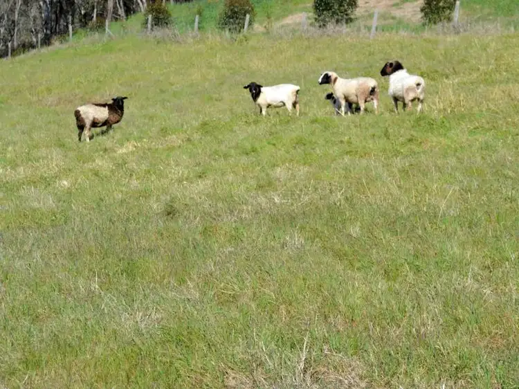 Second view of Homely land listing, Lot 9214, 23 Peninsula Road, Bridgetown WA 6255