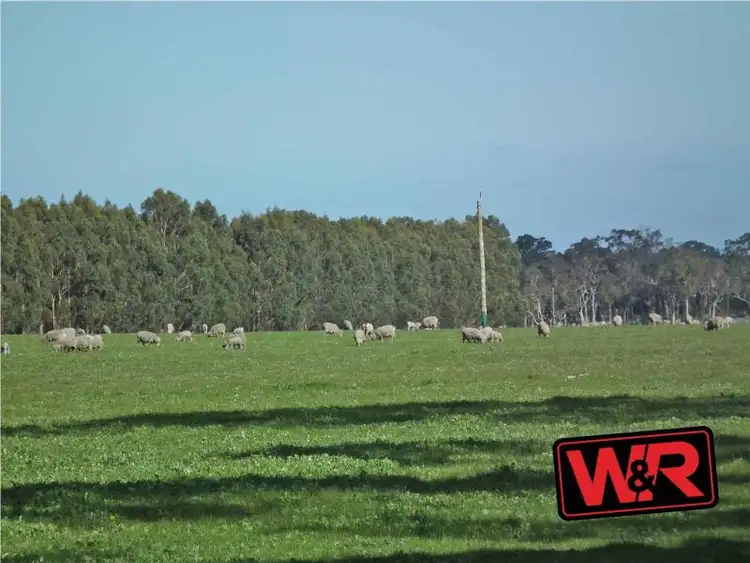 Fifth view of Homely rural property listing, Lot 154 Rogers Road, Porongurup WA 6324