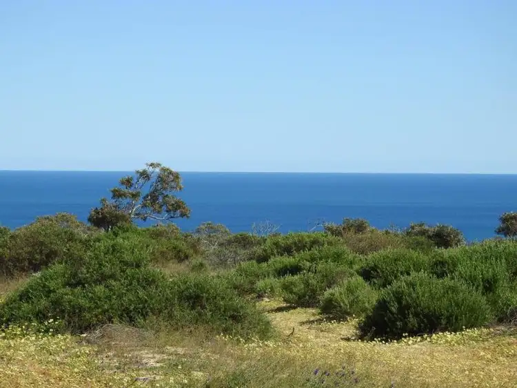 81 Explorer Avenue, Kalbarri WA 6536