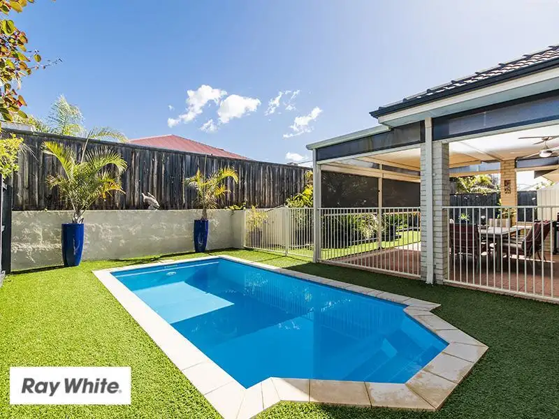 Main view of Homely house listing, 84 Fantail Crescent, Ellenbrook WA 6069