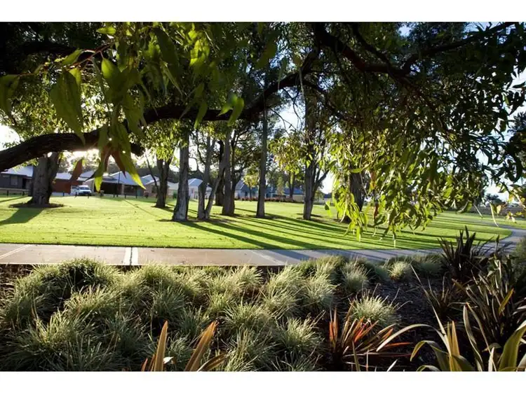Main view of Homely house listing, 51 Molonglo Crescent, Baldivis WA 6171