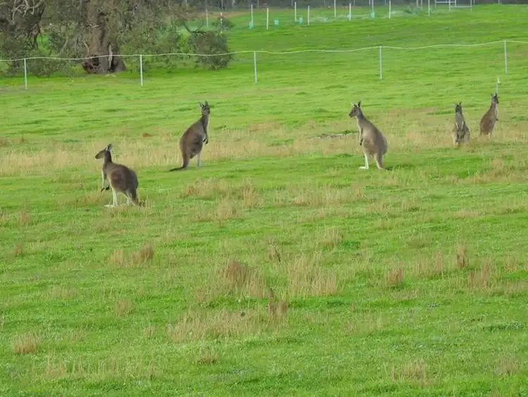Seventh view of Homely land listing, Lot 403 Liberte Crescent, Baskerville WA 6056