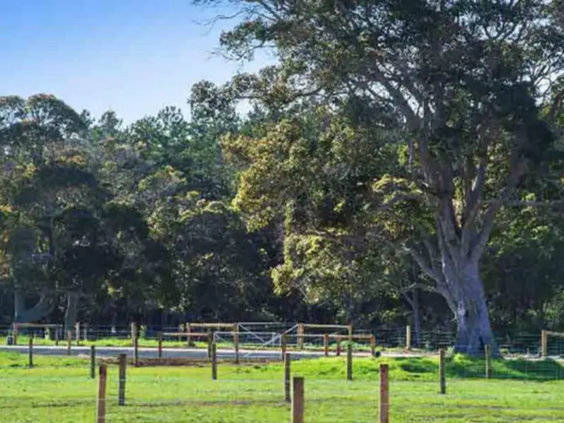 Main view of Homely land listing, 9 Sawmill Loop, Karridale WA 6288