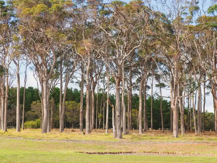 Fourth view of Homely land listing, 9 Sawmill Loop, Karridale WA 6288