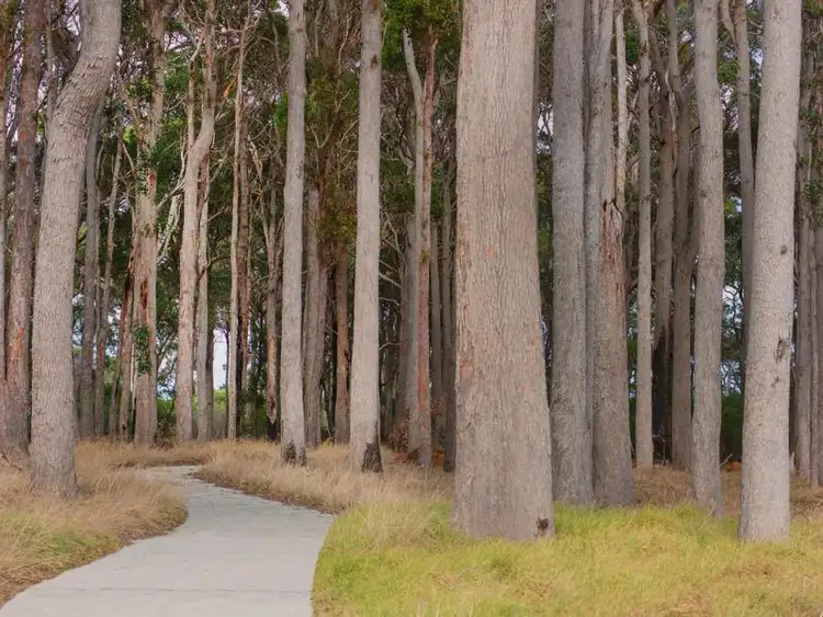 Fifth view of Homely land listing, 9 Sawmill Loop, Karridale WA 6288