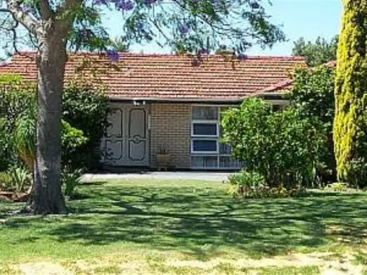 Main view of Homely house listing, 24 Montfort Place, Morley WA 6062