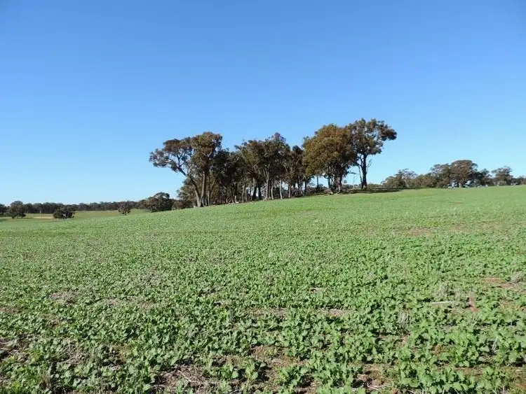 Seventh view of Homely rural property listing, Lot 2854 Eulin Siding Road, Kulikup WA 6244