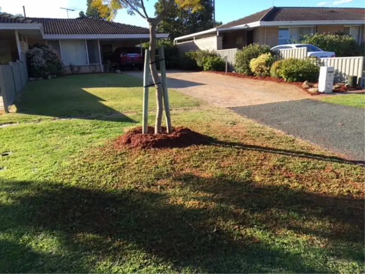 Second view of Homely house listing, 3 Boston Way, Booragoon WA 6154