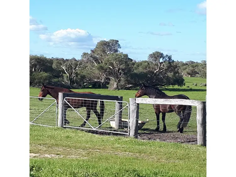 Seventh view of Homely rural property listing, Dutchman Road, Coolup WA 6214