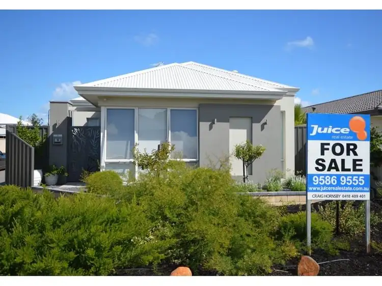 Main view of Homely house listing, 16 Conebush Circle, Falcon WA 6210