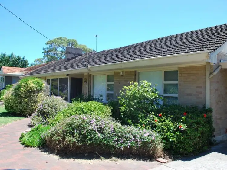 Second view of Homely house listing, 176 Cobb Street, Doubleview WA 6018