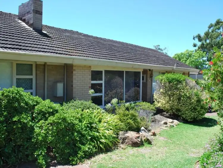 Third view of Homely house listing, 176 Cobb Street, Doubleview WA 6018