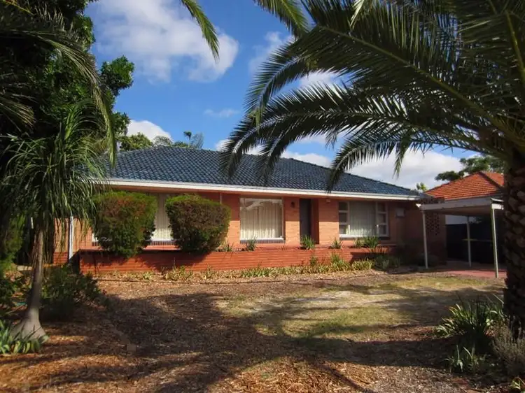 Second view of Homely house listing, 799 Canning Hwy, Applecross WA 6153