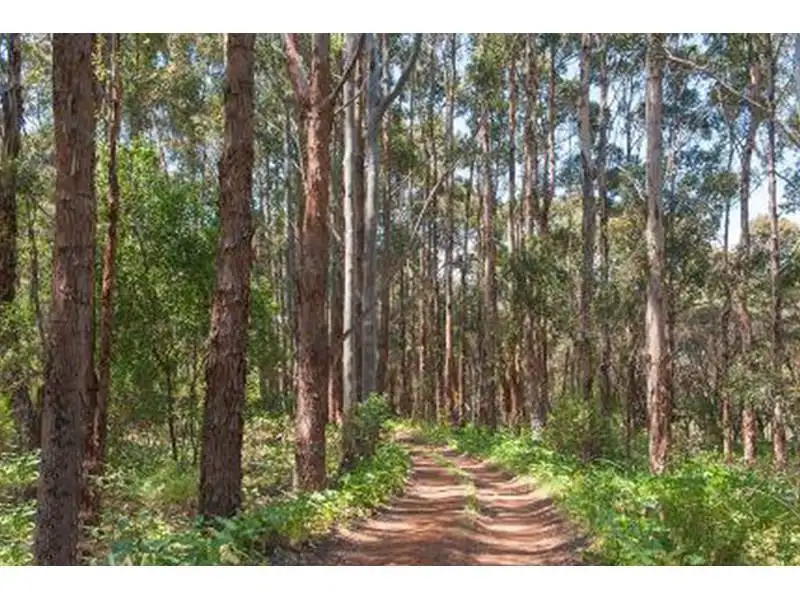Main view of Homely house listing, 9496 Caves Road, Hamelin Bay WA 6288
