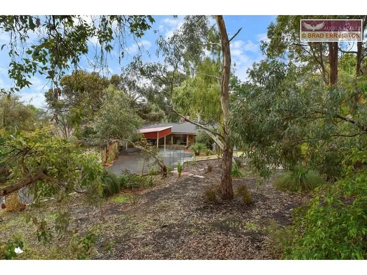 Third view of Homely house listing, 16 Grevillea Crescent, Swan View WA 6056