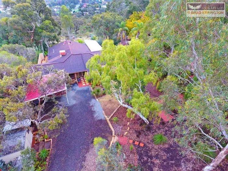 Fifth view of Homely house listing, 16 Grevillea Crescent, Swan View WA 6056