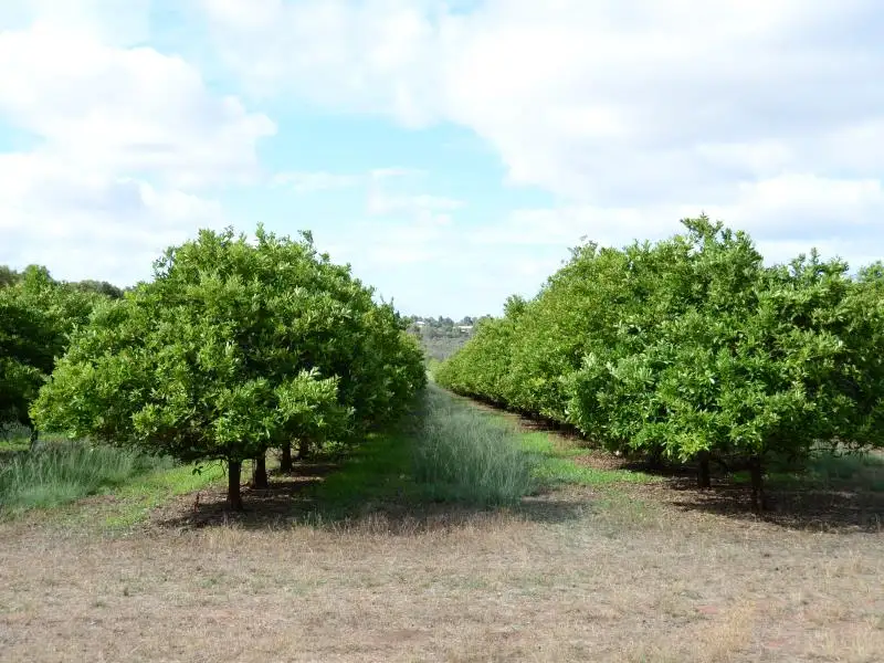 Main view of Homely rural property listing, Lot 15 Lennards Road, Lennard Brook WA 6503
