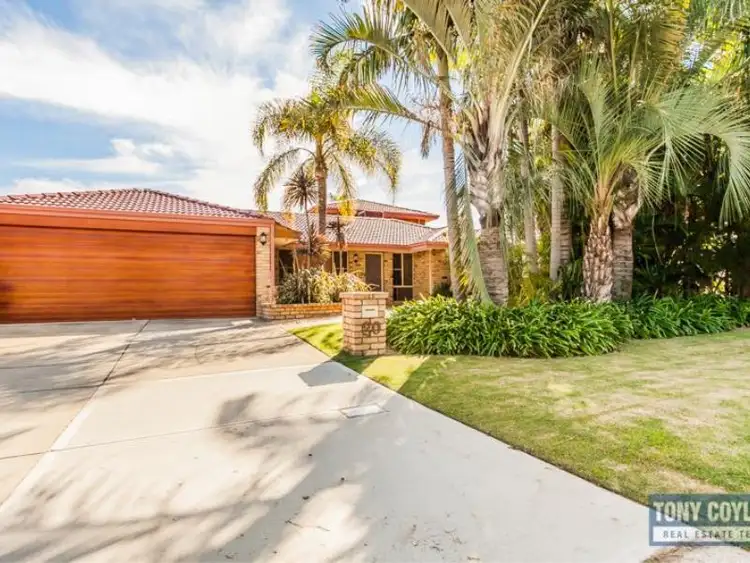 Main view of Homely house listing, 20 Windmill Drive, Bibra Lake WA 6163