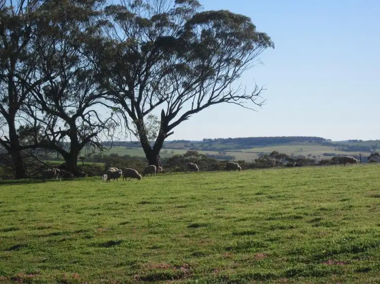 537 Nunile Road, Toodyay WA 6566